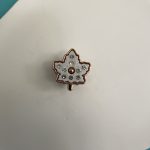 Αξεσουάρ crocs Women