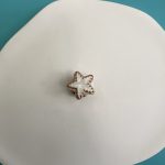 Αξεσουάρ crocs Women