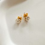 Pearl Steel Earrings